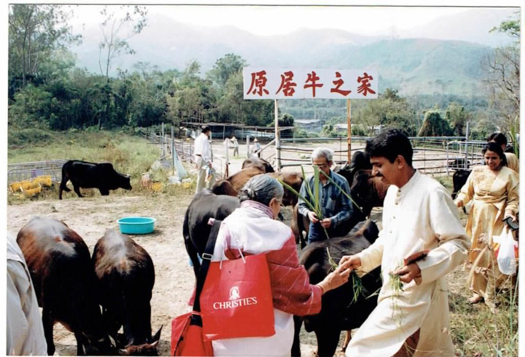 Cow Prayers during 1997-1998 on Gopashtami conducted by Ishwar Maharaj Pandit, Hong Kong