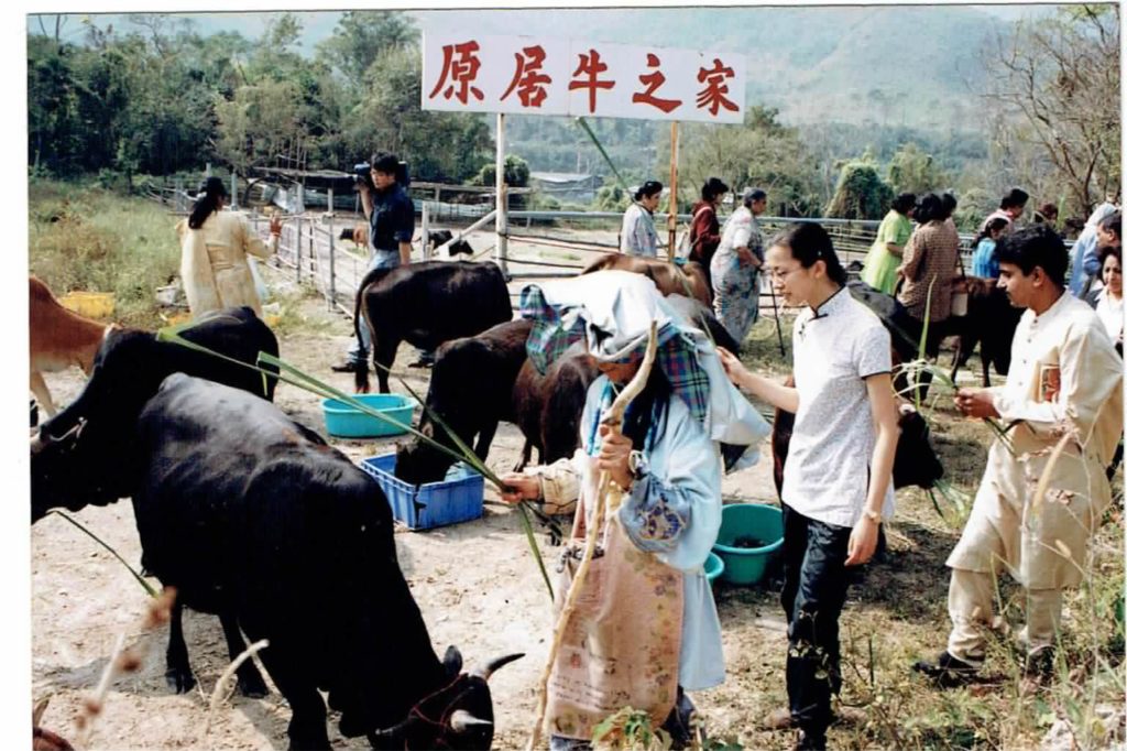 Cow Prayers during 1997-1998 on Gopashtami conducted by Ishwar Pandit, Hong Kong
