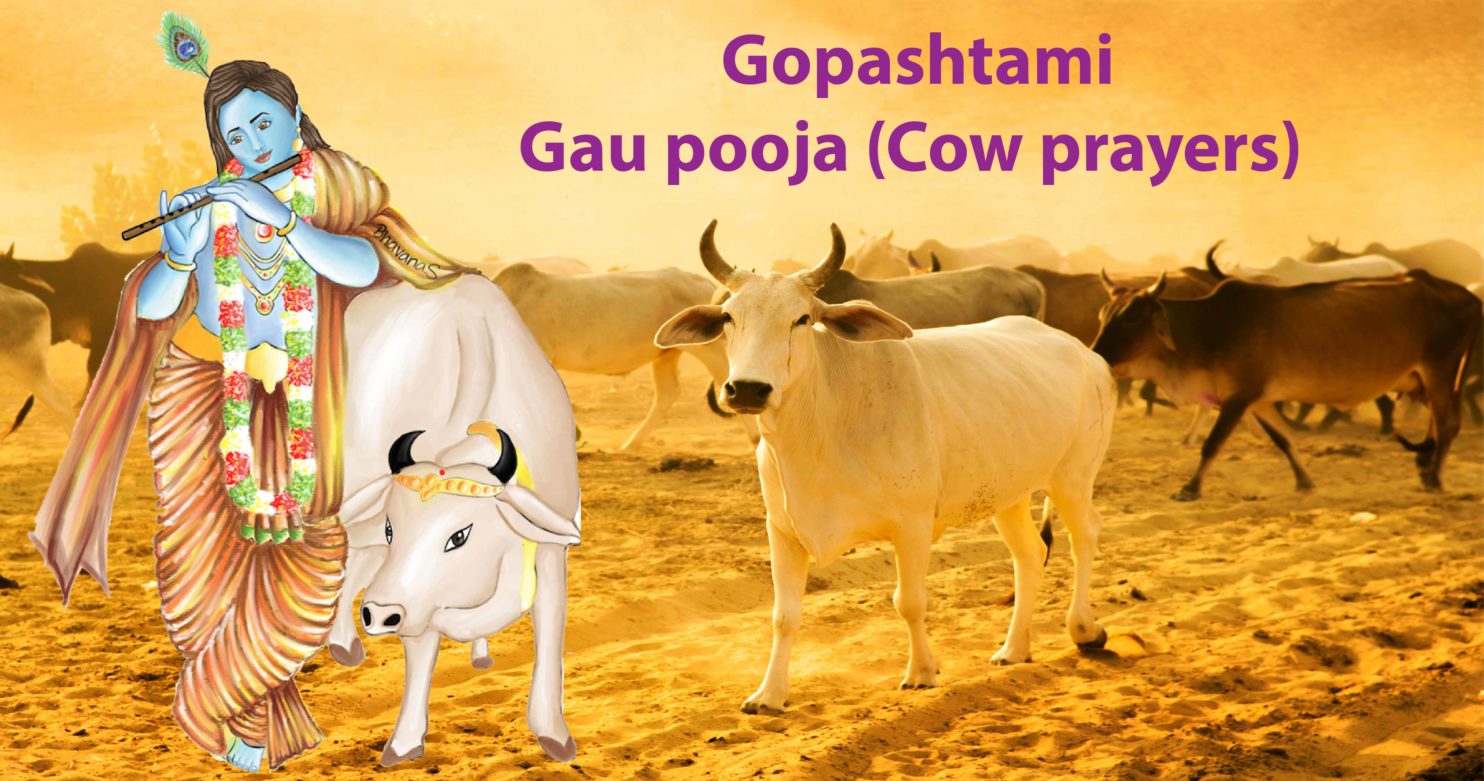 Gopashtami – Gau poojas (Cow prayers)