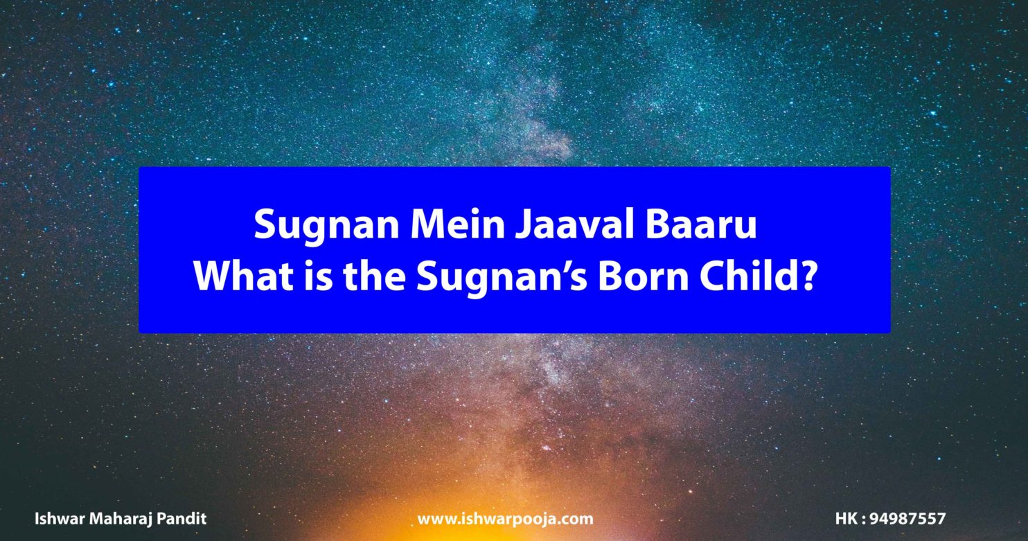 Sugnan Mein Jaaval Baaru - What is the Sugnan’s Born Child